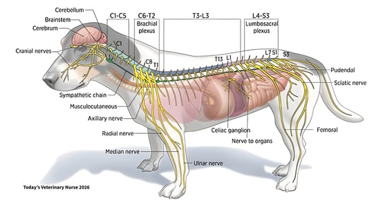 1-Mar-30-2026-03-23-47-0029-PM