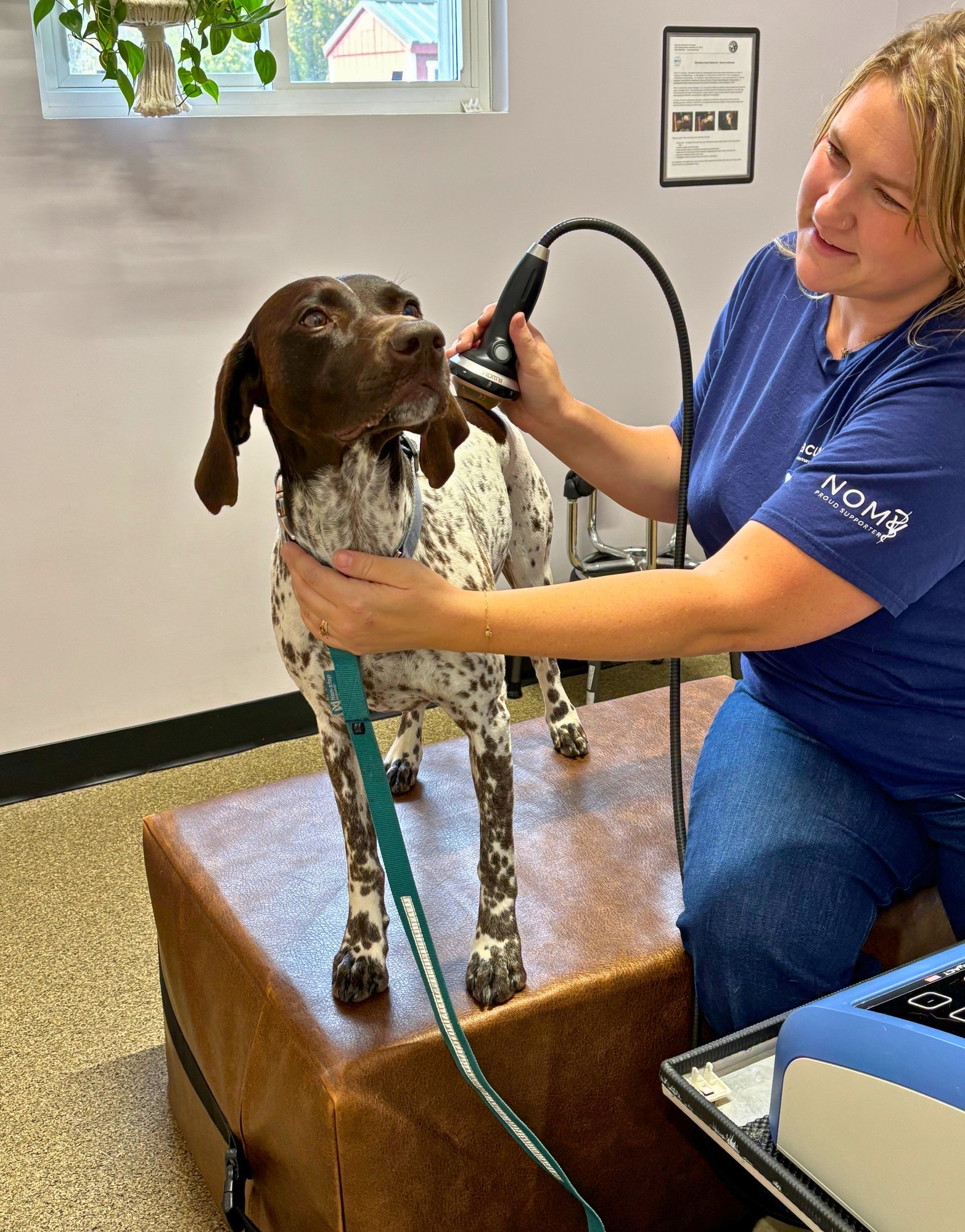 pointer back treatment pointer back treatment