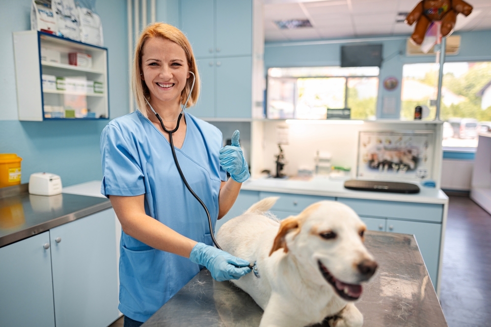 caring-veterinarian-attends-to-a-happy-dog-during-2026-01-09-10-13-38-utc-1