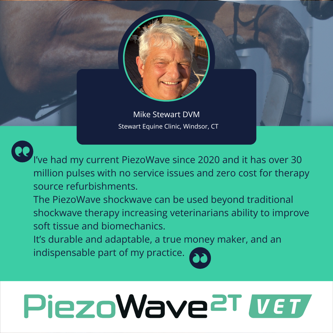 Mike stewart testimonial 1080 x 1080 px Mike stewart testimonial 1080 x 1080 px