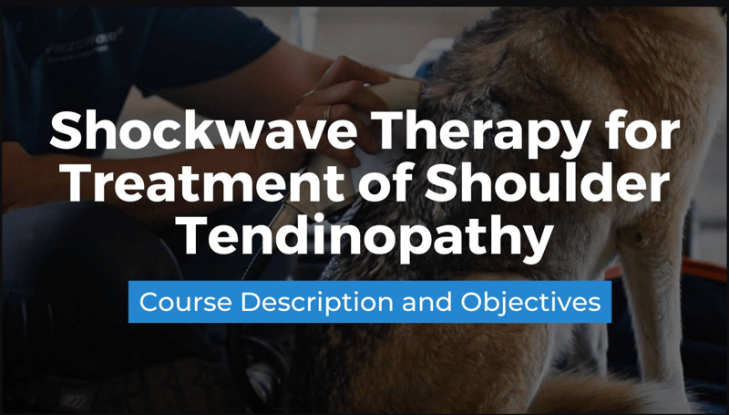 Shockwave Therapy for Treatment of Shoulder Tendinopathy Shockwave Therapy for Treatment of Shoulder Tendinopathy