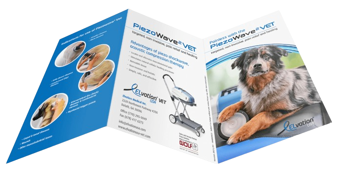 Pet brochure transaprent
