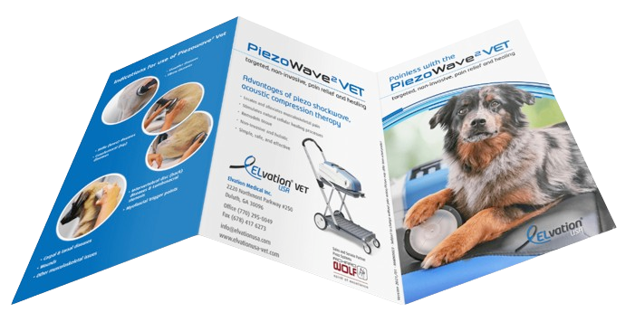 Pet brochure transaprent Pet brochure transaprent
