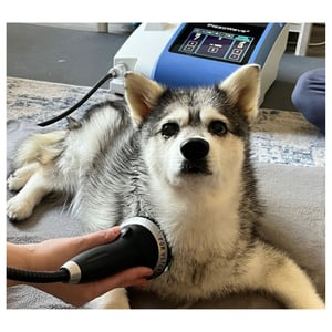 Husky getting piezowave tx