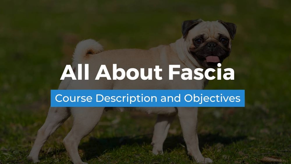 all about fascia