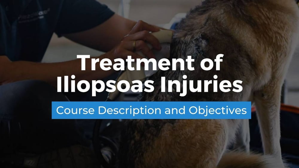 illiopsoas