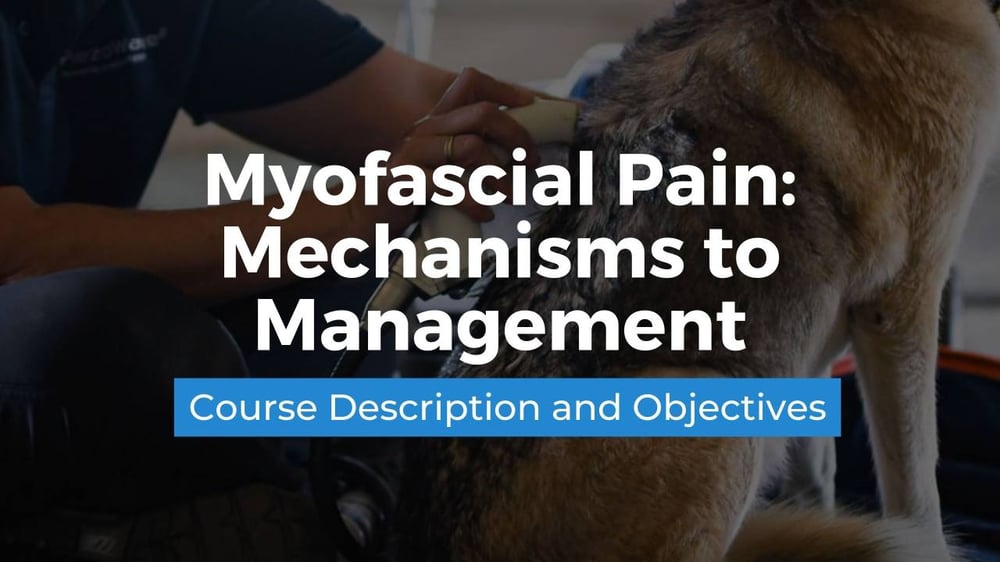 myfascial Pain