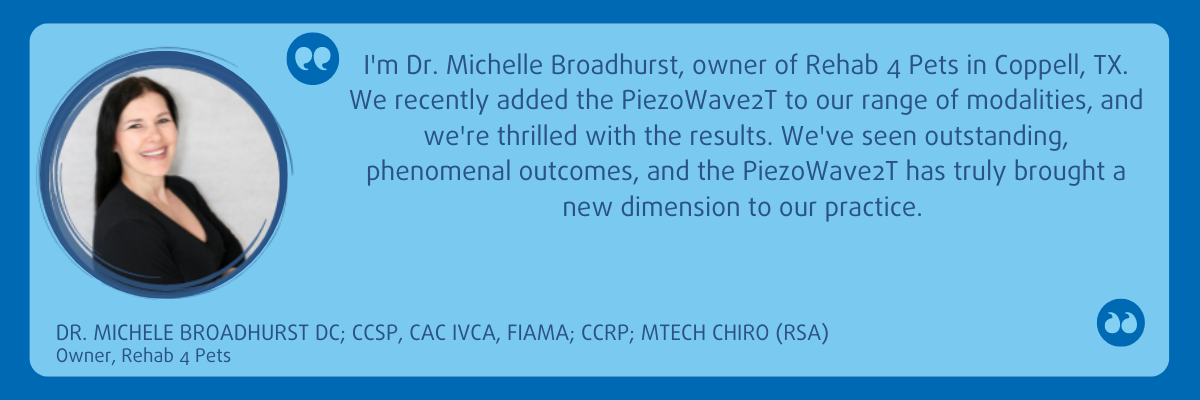 Dr. Michele Broadhurst testimonial grahic